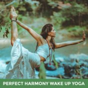 Perfect Harmony Wake Up Yoga: 2019 New Age Deep Ambient Music for Morning Meditation Session, Vital Energy for All Day, Positive...