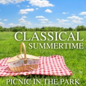 Classical Summertime Picnic In The Park