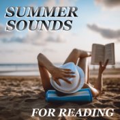 Summer Sounds For Reading