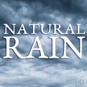Natural Rain - Sleep Sounds in Hd Stereo