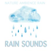 Nature Ambience Rain