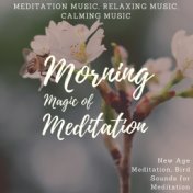 Morning Magic Of Meditation (Meditation Music, Relaxing Music, Calming Music, New Age Meditation, Bird Sounds For Meditation)