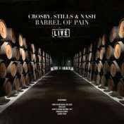 Barrel Of Pain (Live)
