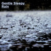 Gentle Sleepy Rain