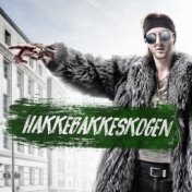 Hakkebakkeskogen 2017