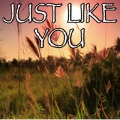 Just Like You - Tribute to Louis Tomlinson
