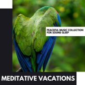 Meditative Vacations: Peaceful Music Collection for Sound Sleep