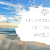 Relaxing Ocean Waves