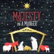 Majesty In a Manger