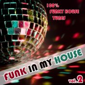 Funk In My House Vol. 2