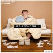 Budenzauber pres. Life Is Wonderful, Vol. 9