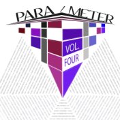 Para/meter, Vol. 4