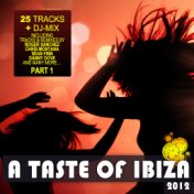 Taste of Ibiza 2012 Pt. 1 - Summer House Anthems