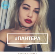 #пантера