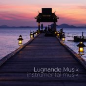 Lugnande Musik - instrumental musik