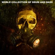 WORLD COLLECTION OF DRUM AND BASS