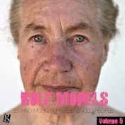 Role Models, Vol. 5 - Techno Music for Experienced People