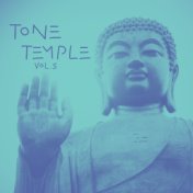 Tone Temple, Vol. 5