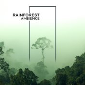 Rainforest Ambience: Relaxing Music with Tropical Sounds of Nature