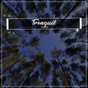 #5 Tranquil Tracks for Meditation and Sleep