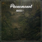 #15 Phenomenal Noises for Meditation and Sleep