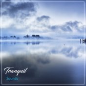 #13 Tranquil Sounds