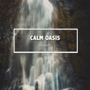 #12 Calm Oasis Sounds for Mindfulness