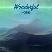 #17 Wonderful Noises for Meditation and Sleep