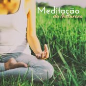 Meditação da Natureza: Música Ambiente para Meditação, Yoga, ZEN, Práticas Espirituais Budistas