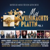 Mei Weihnachtsplattn, Vol. 1