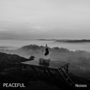#10 Peaceful Noises for Meditation and Sleep