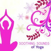 Harmony in Meditation – Yoga Music, Oriental Melodies to Rest, Deep Concentration, Pure Mind