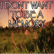 I Don't Want To Be A Memory - Tribute to Exile