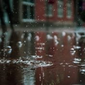 36 Peaceful Rain & Nature Recordings for Deep Sleep and Relaxation (Loop)