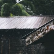 50 Nature Rain Soundscapes to Lower Stress and Prevent Anxiety