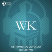 Instrumental Covers of Luke Bryan