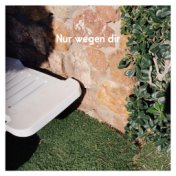 Nur wegen dir