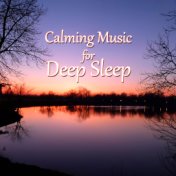 Calming Music for Deep Sleep - New Age Meditation Lullabies for Reduce Stress, Deep Relaxation, Restful Sleep, Insomnia Cures, S...