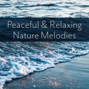 Peaceful & Relaxing Nature Melodies – Soft Sounds to Relax, Easy Listening, Healing New Age Music, Time to Rest