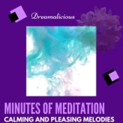 Minutes Of Meditation - Calming And Pleasing Melodies