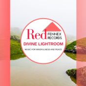 Divine Lightroom - Music For Mindfulness And Peace