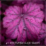 # 1 Meditation Rain Sounds