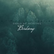 Oasis of Healing Birdsong – Excellent Collection of Relaxing Sounds of Birds, Blissful Rest