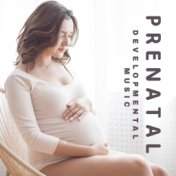Prenatal Developmental Music