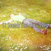 51 Sounds That Allow Sleep