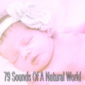 79 Sounds Of A Natural World