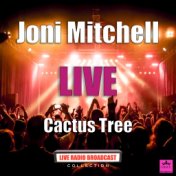 Cactus Tree (Live)