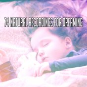 74 Natural Recordings For Dreaming