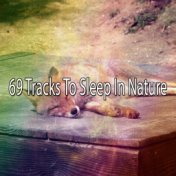 69 Tracks To Sleep In Nature
