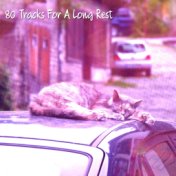 80 Tracks For A Long Rest